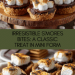 S’mores Bites Recipe
