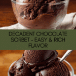 Chocolate Sorbet Recipe