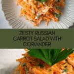 Russian Carrot Salad with Coriander RecipeIngredients Recipe
