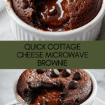 Cottage Cheese Microwave Brownie Recipe