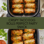 Taco Egg Rolls Recipe