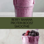 Healthy High Protein Smoothie (46 Grams Per Serving) Recipe