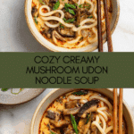 Creamy Mushroom Udon Noodle Soup Recipe