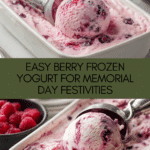 Memorial Day Berry Frozen Yogurt Recipe