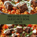 Steak Queso Rice : A Flavorful Recipe