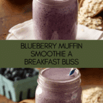 Blueberry Muffin Smoothie Recipe