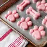 Frozen Watermelon Dog Treats Recipe