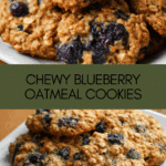 Chewy Blueberry Oatmeal Cookies Recipe