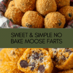 Moose Farts Recipe