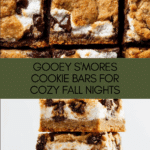 S'mores Cookie Bars Recipe