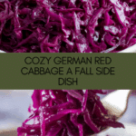 German Red Cabbage (Rotkohl) Recipe