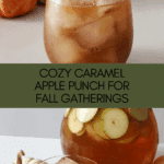 Caramel Apple Punch Recipe