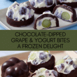 zen California Grape and Yogurt Clusters Recipe