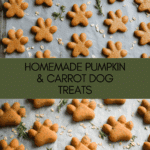 Pumpkin & Carrot Cookies: Treat for Your Dog Recipe