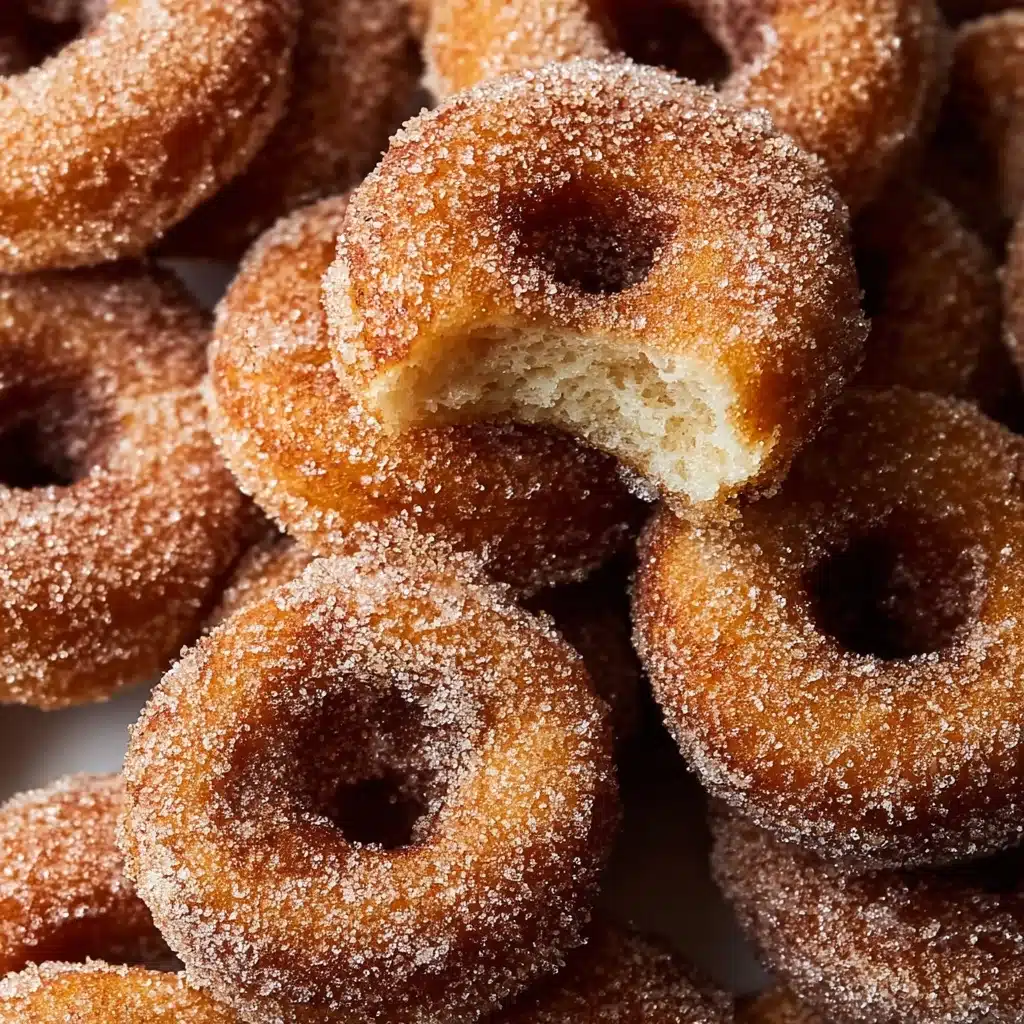 Apple Cider Donuts Recipe