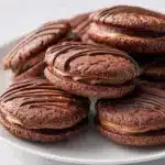 Homemade Fudge Rounds Recipe
