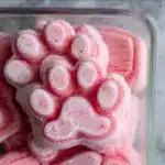 Watermelon and Yogurt Frozen Dog Treats Recipe