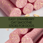 Strawberry Oat Smoothie Sticks for Dogs Recipe