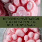 Watermelon and Yogurt Frozen Dog Treats Recipe