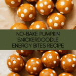 Healthy No-Bake Pumpkin Snickerdoodle Energy Bites Recipe