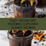 Homemade Easy Vegan Dirt Pudding Cups Recipe