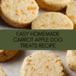 How To Make Easy Carrot Apple Crunchies for Dogs Recipe