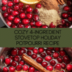4 Ingredient Stovetop Holiday Potpourri Recipe