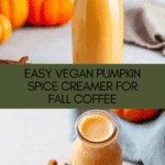 Vegan Pumpkin Spice Creamer Recipe