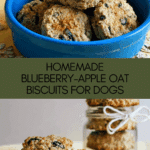 Blueberry-Apple Oat Dog Biscuits Recipe