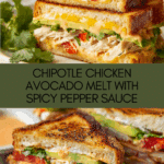 Chipotle Chicken Avocado Melt Recipe