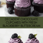 Chocolate Cupcakes with Blackberry Buttercream Recipe