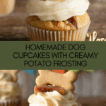 Dog cupcakes with frosting Recipe