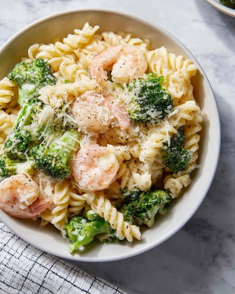 Broccoli Shrimp Alfredo Recipe