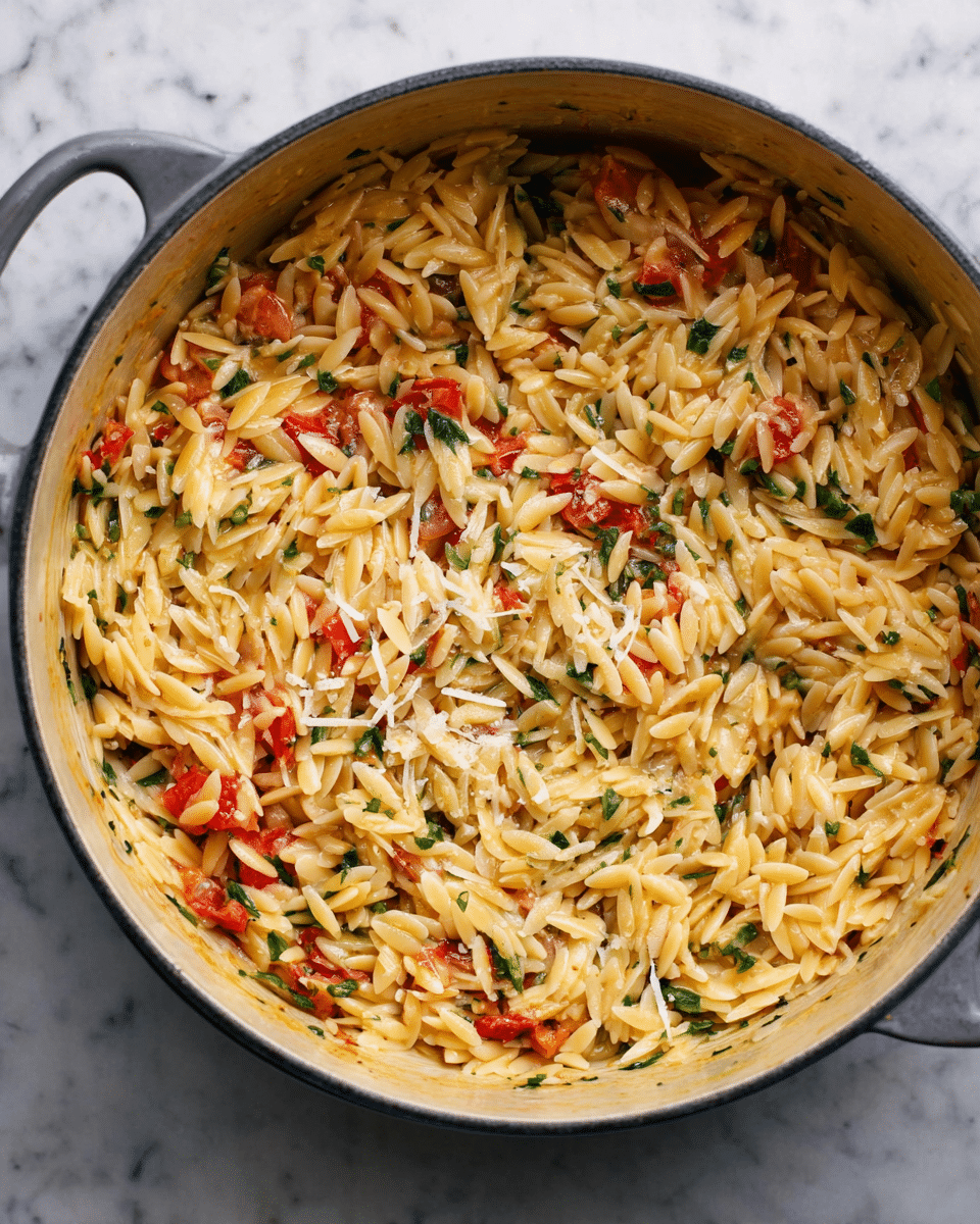 A large gray pot filled with cooked orzo pasta mixed with small pieces of red tomato and green herbs, creating a colorful contrast. The orzo is coated in a light, slightly creamy sauce, giving it a shiny texture. Small shreds of white cheese are sprinkled on top, some melting slightly into the pasta. The pot is placed on a white marbled surface, and the scene is well lit, showing the fresh ingredients clearly. photo taken with an iphone --ar 4:5 --v 7