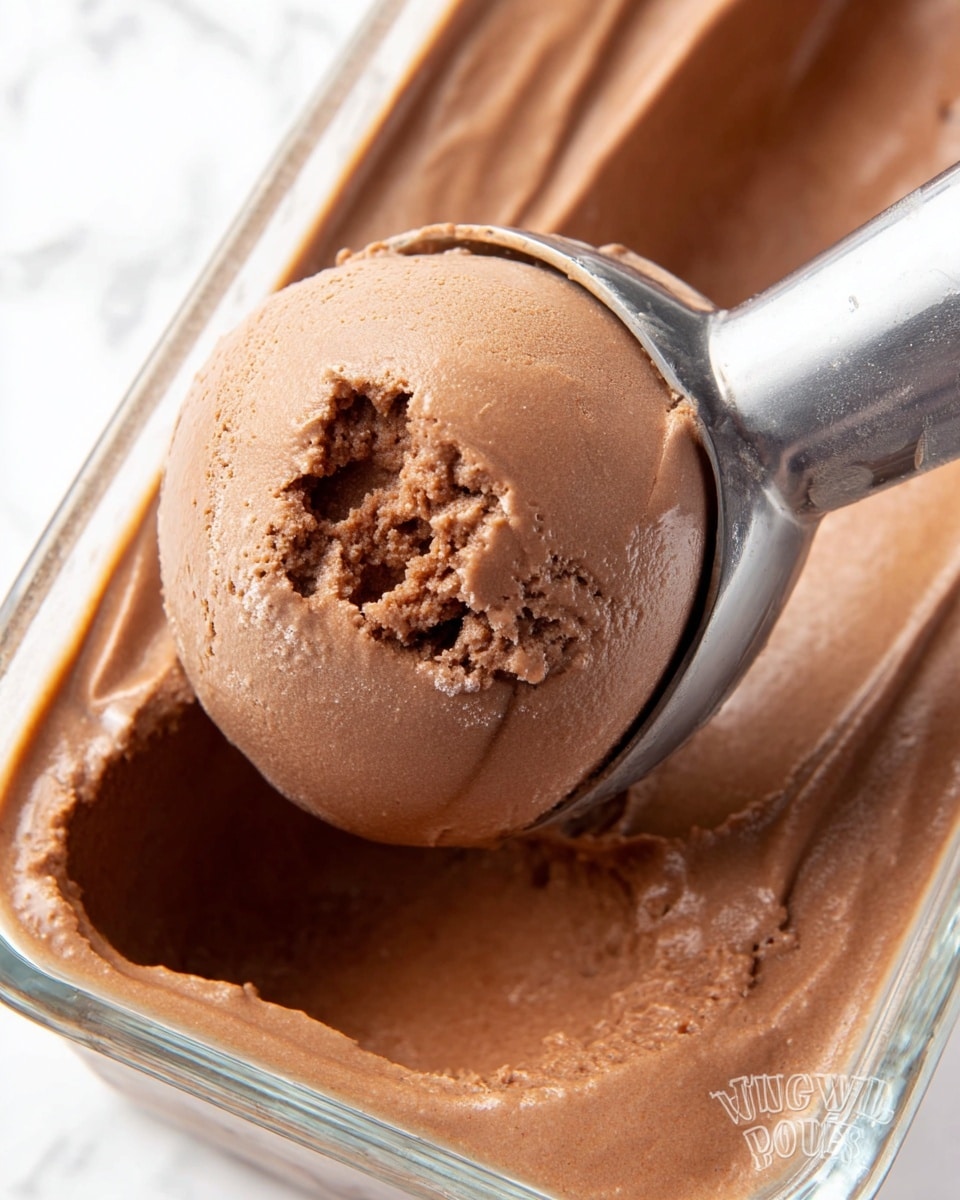 Chocolate Protein Ice Cream Recipe