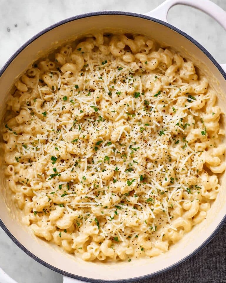 Creamy Ditalini Pasta with Garlic and Parmesan Recipe