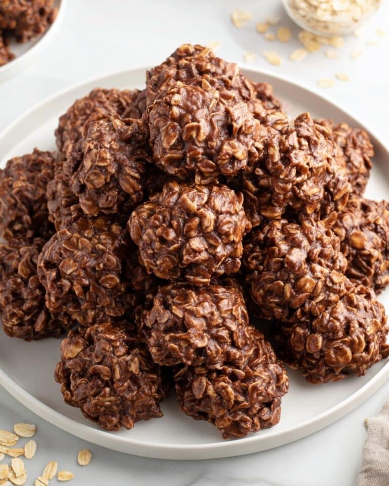 Chocolate Peanut Butter No Bake Cookies Recipe